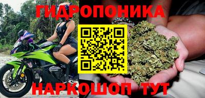 индика Волжский