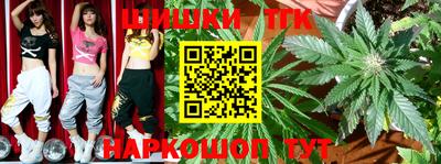 индика Волжский