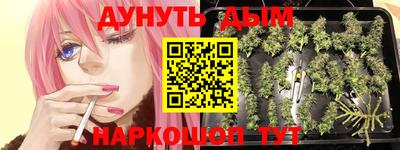 индика Волжский