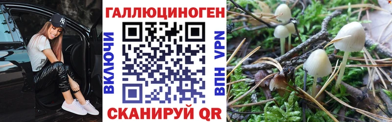 дарнет шоп  Калининград  Галлюциногенные грибы MAGIC MUSHROOMS 