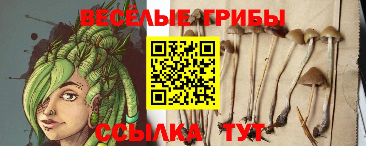 Галлюциногенные грибы Psilocybe  магазин    Калининград  Псилоцибиновые грибы Psilocybine cubensis  Вход с VPN 