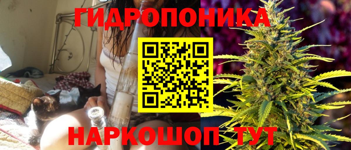 Бошки Шишки планчик  Бошки Шишки тримм  Бошки марихуана THC 21%  Вход с VPN  Калининград 